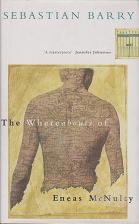 The Wherabouts of Eneas McNulty by Sebastian  Barry